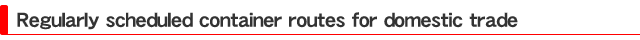 Regularly scheduled container routes for domestic trade