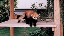 大牟田市動物園