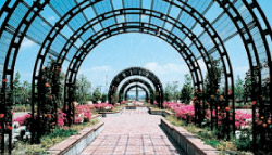 諏訪公園